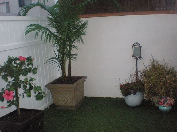 Grass area of the backyard