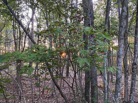 5th image of LOT 23 Old Cedar Grove Rd Lot 23