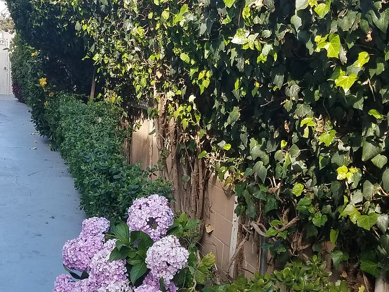 1444 Barry Ave #2A — Photo 4
