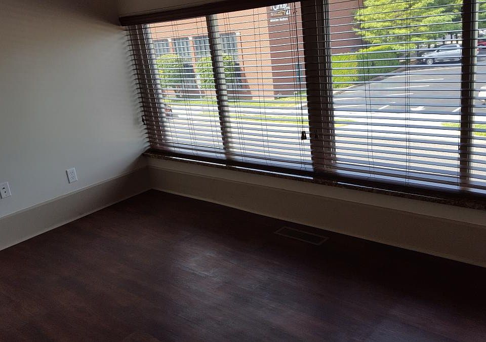 view out of living room onto Washington St