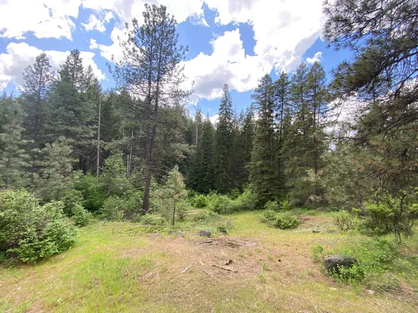 4610A Hidden Rd, Springdale, WA 99173