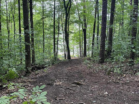 4th image of 0 Lakewood Rd