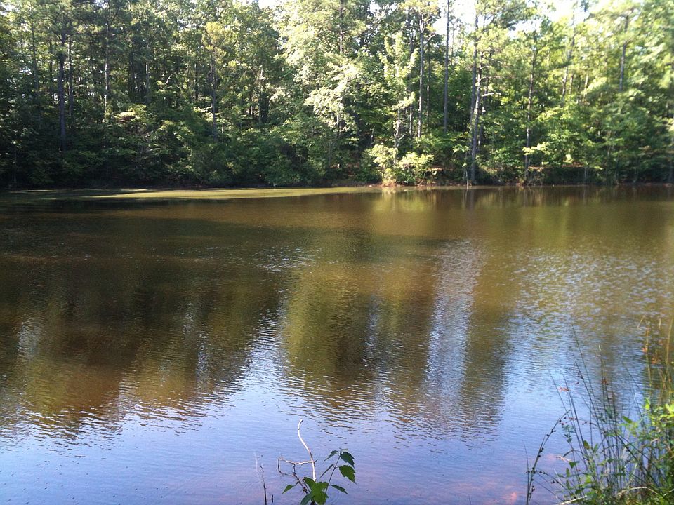 Fish Pond