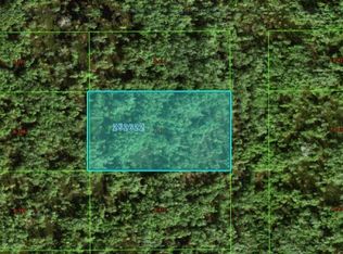 Commonwealth Ave N, Polk City, FL 33868