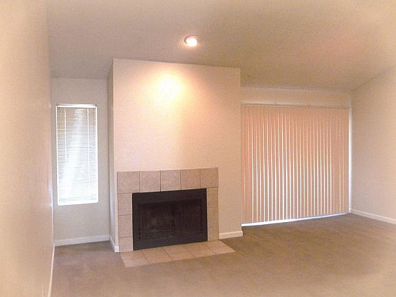 Wood-burning Fireplace