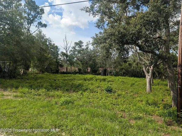 0 Merlin Cir Lot 10, Dade City, FL 33523