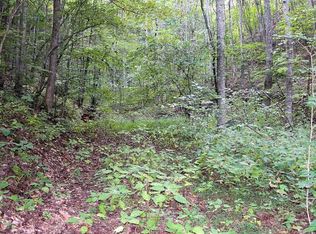 Shady Springs Way, Cosby, TN 37722