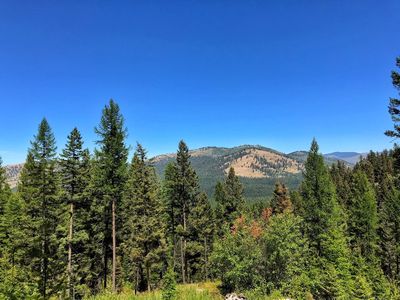 Nhn Larch Canyon Rd, Missoula, MT, 59803