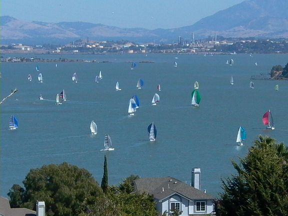 Watch the annual sailboat regatta event right from your patio