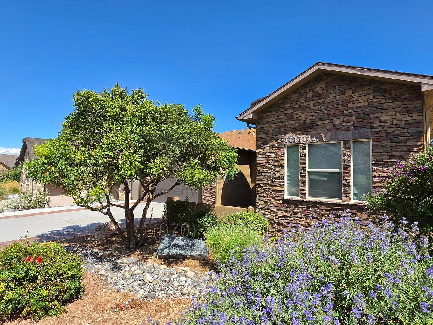 3 bed, 2.0 bath, 1921 sqft, $2,600 — Photo 4