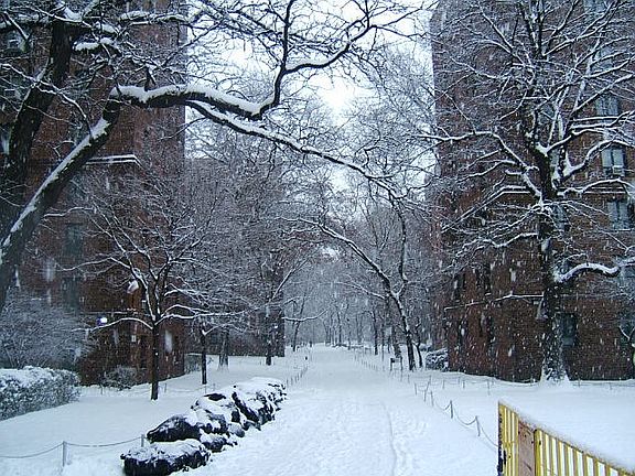 Winter in Parkchester