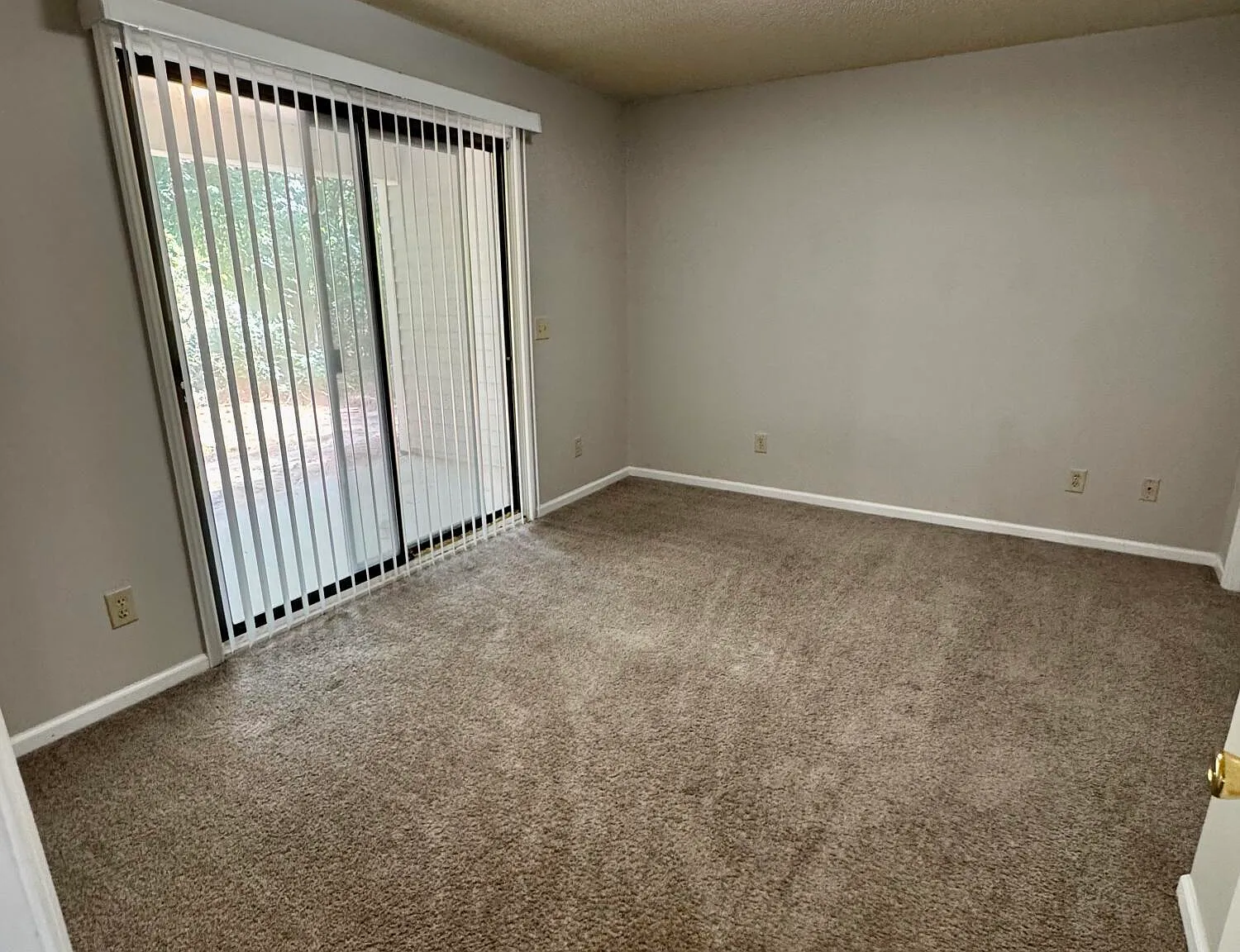 1 bed, 1.0 bath, $900 — Photo 3