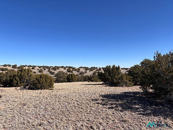 3rd image of LOT 174 Pinon Spgs #174
