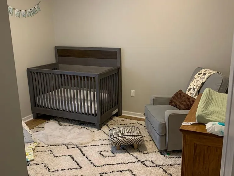 117 Purple Finch Ln — Photo 29