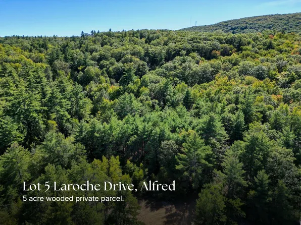 Lot 5 Laroche Drive, Alfred, ME 04002