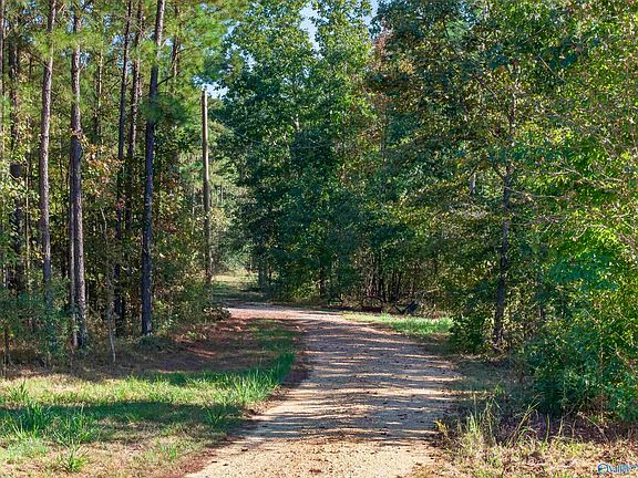 5th image of 490 County Road 20