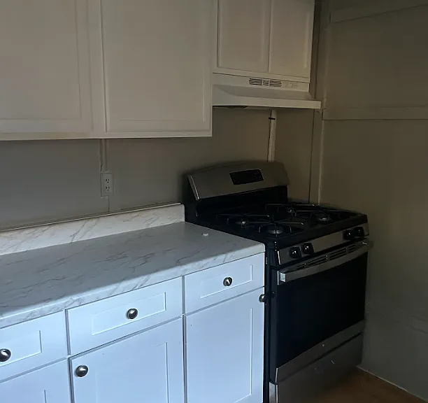 255X W Lombard St #1 — Photo 3