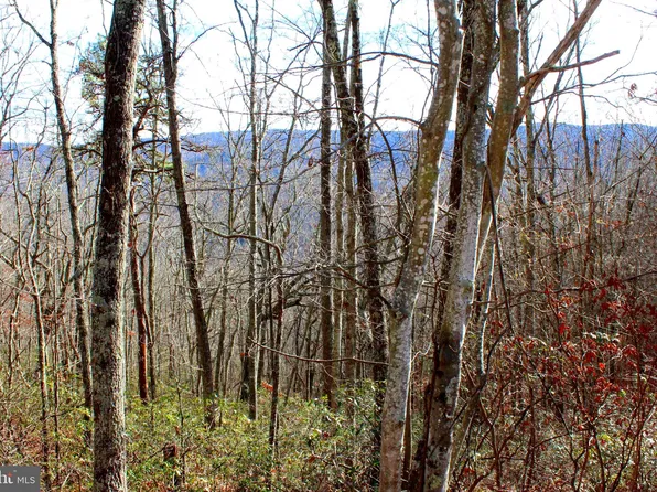 High Valley Lot 29 Rd, Franklin, WV 26807