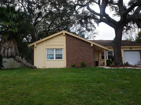 1156 Macfarlane Ave, Spring Hill, FL 34608