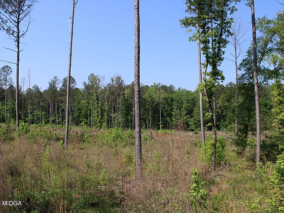 4th image of 0 State Highway 87 Tract 3