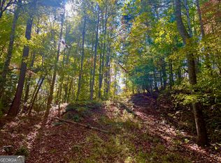 59 High River Rd, Ellijay, GA 30540