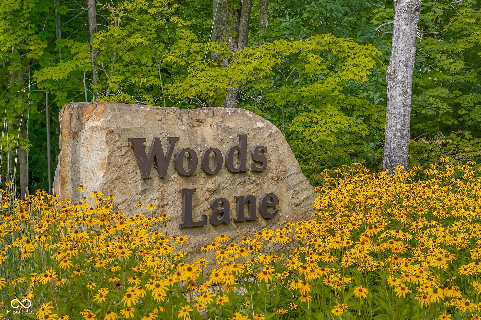 4 Woods Ln photo 1
