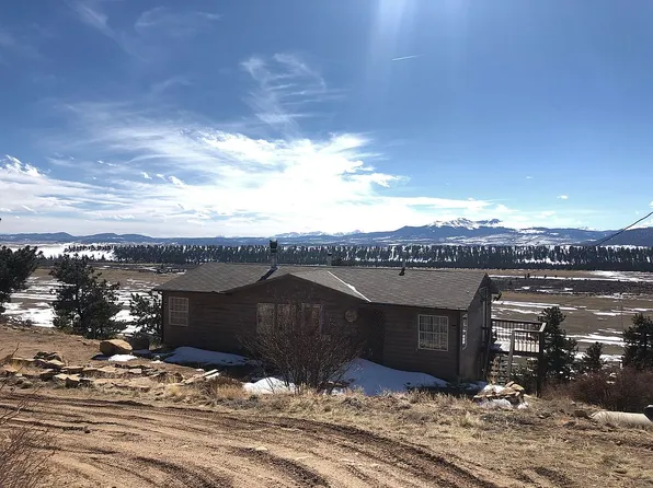 719 Bonell Dr, Fairplay, CO 80440