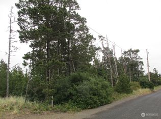 30300 J Pl, Ocean Park, WA