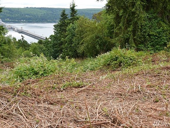 View of the lot when previously cleared.  It is currently overgrown with brush.