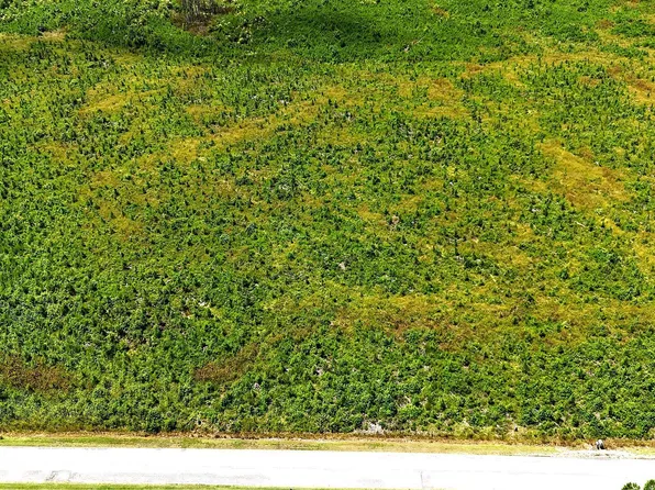 Cove Rd Lot 2, New Hope, NC 27944