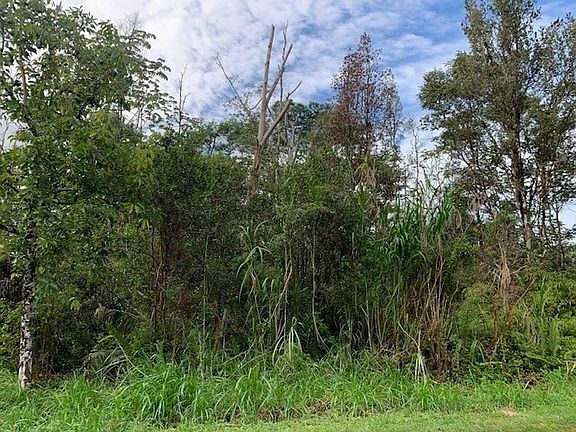 3rd image of Punawai St Lot 13