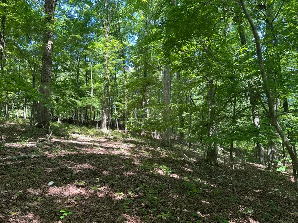 3400 White Tail St, Benton, AR 72019