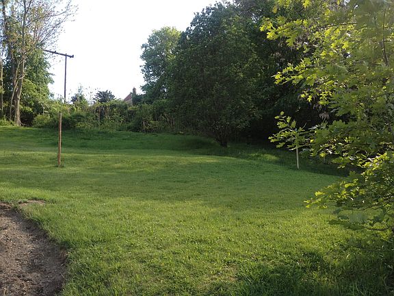 back yard