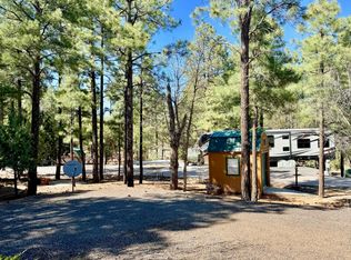 3650 S Latigo Way, Show Low, AZ 85901