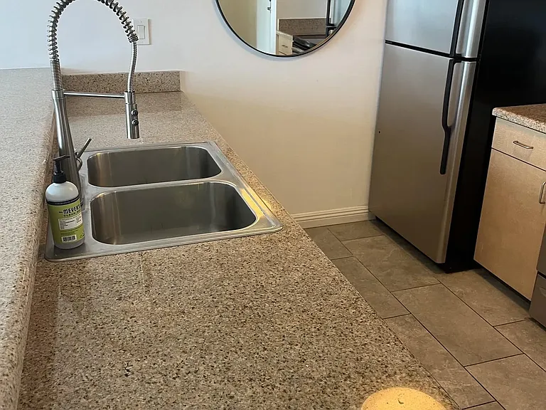 425 W Beech St #1556 — Photo 14