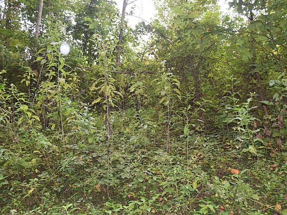 4th image of Emerald Glen Dr
