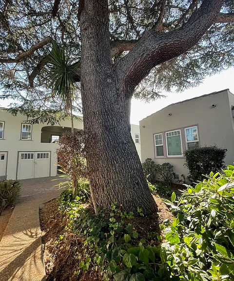 2116 San Jose Ave #9 — Photo 16