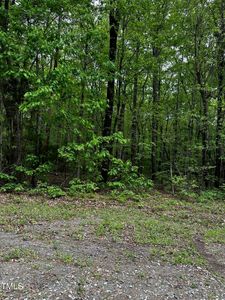 LOT 25 Wild Azalea Pl LOT 25, Rougemont, NC, 27572