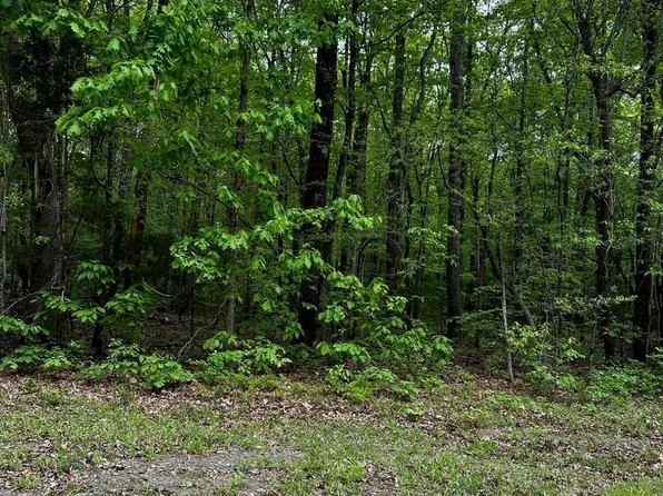 LOT 25 Wild Azalea Pl Lot 25, Rougemont, NC 27572