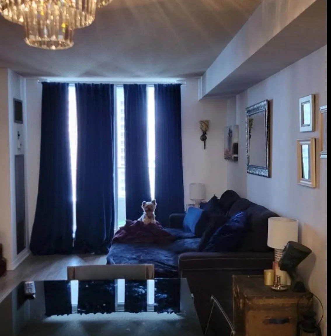 1 bed, $2,000 — Photo 3