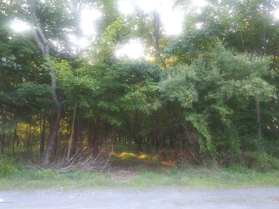 1st image of Wilson Ave