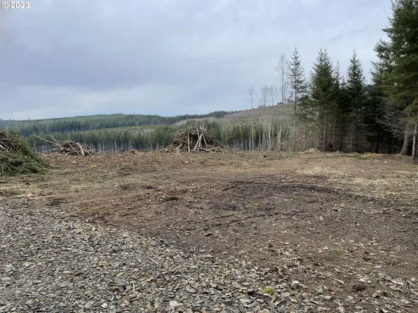 964 N Salmon Creek Rd, Mossyrock, WA 98564