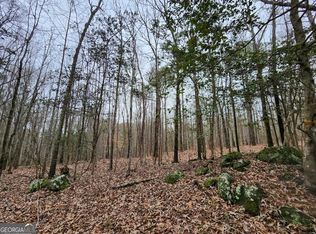 1 Trice Cemetary Rd, Thomaston, GA 30286