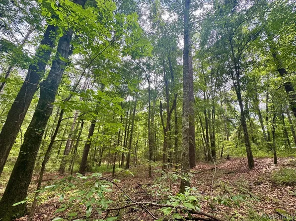 45 Highway 29, Union Springs, AL 36089