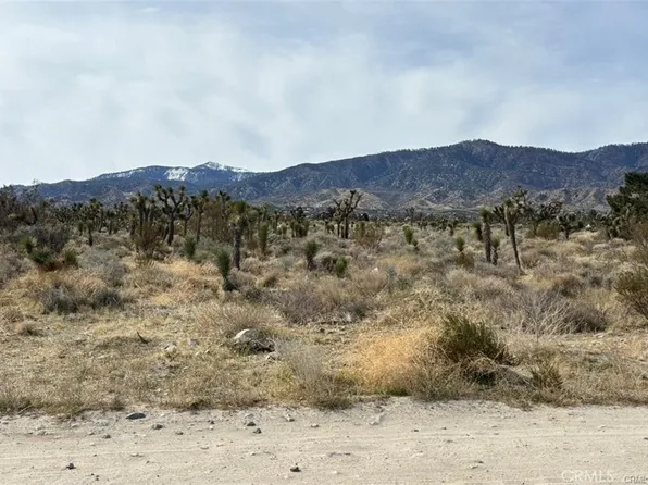 0 Mono Rd Lot 42, Pinon Hills, CA 92372