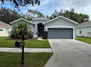 19111 Cypress Reach Ln, Tampa, FL 33647