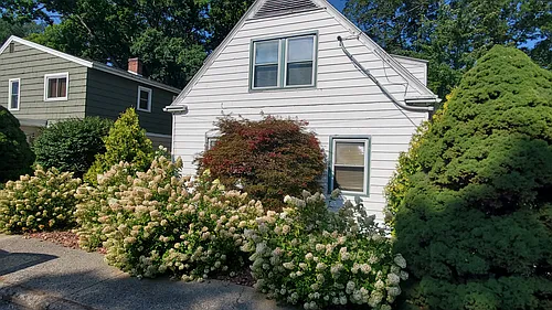 602 Chestnut St Photo 1