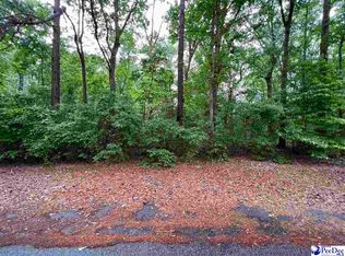 271 Pineneedle Cir, Johnsonville, SC 29555