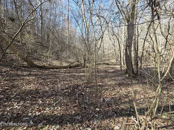 Baysinger Rd, Newport, TN 37821