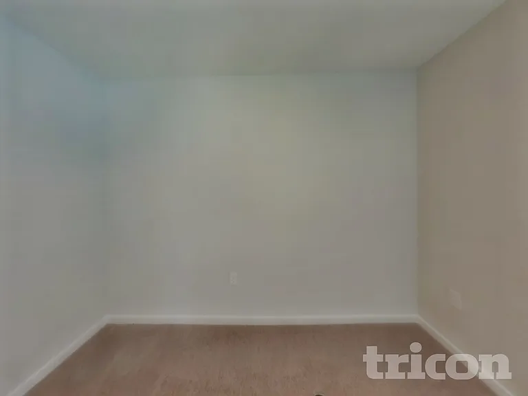 56 Brazil Nut Cir — Photo 11